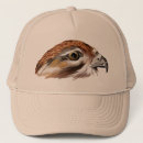 Search for prey hats Hawk