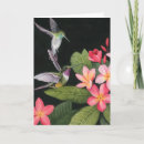 Search for hummingbird cards Tropical