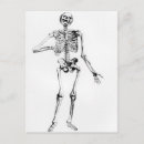 Search for anatomical postcards 16th