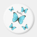 Search for morpho magnets Butterfly