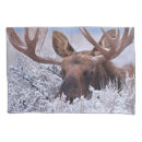 Search for national park pillowcases Snow