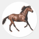 Search for horse illustration stickers Equestrian