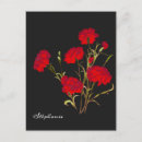 Search for carnation postcards Elegant