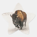 Search for yellowstone bison stickers Buffalo