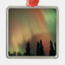 Search for aurora christmas tree decorations Green