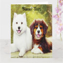 Search for samoyed dog postcards Cute