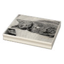 Search for photography rubber stamps Cute