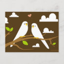Search for budgie postcards Budgerigar