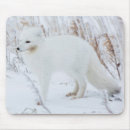 Search for arctic fox mousepads Canada