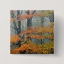 Search for fall tree badges Maple