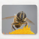 Search for straw mousepads Nature