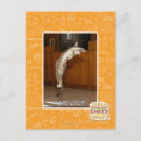Search for pointer postcards I can has cheezburger