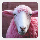 Search for pink sheep stickers Cute