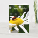 Search for wishes aunt birthday cards Photography