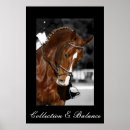 Search for eventing horse posters Dressage