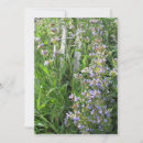 Search for photography invitations Photos