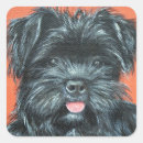 Search for yorkshire terrier dog stickers Brown
