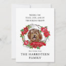 Search for labradoodle christmas cards Watercolor