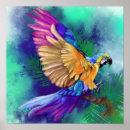 Search for colourful parrot posters Exotic