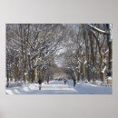 Search for central park winter posters Snow