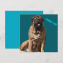 Search for for family cards For him