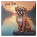 Search for boxer tiles Pets