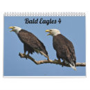 Search for bald eagle calendars Nature