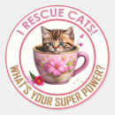 Search for rescue cat stickers Kittens