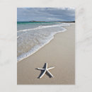 Search for remote postcards Outdoors