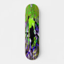 Search for street graffiti skateboards Abstract