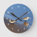 Search for sandpiper art Water