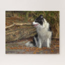 Search for border collie puzzles Cute