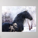 Search for friesian horse art Animals