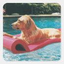 Search for yard stickers Humour