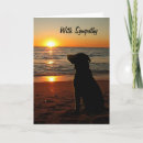 Search for beach memorial Dog