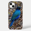 Search for birdwatcher iphone cases Blue