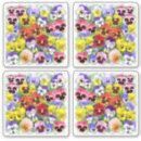 Search for pansy stickers Pansies