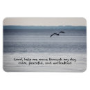 Search for serene magnets Seascape