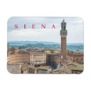 Search for del magnets Siena
