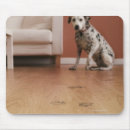 Search for home interior mousepads Indoors