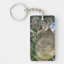 Search for endangered key rings Animal