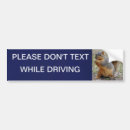 Search for no text bumper stickers Don't text and drive