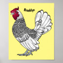 Search for chicken breeds posters Poultry