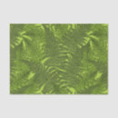 Search for fern tissue paper Leaves
