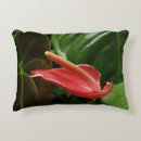Search for calla lilies cushions Flower