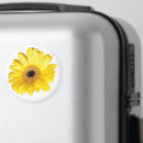 Search for gerber magnets Floral