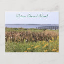 Search for travel postcards weddings Ocean