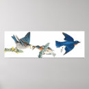 Search for audubon birds posters Vintage