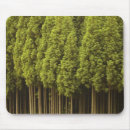 Search for natural world mousepads Forest