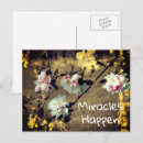 Search for miracle postcards Inspirational